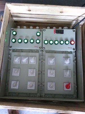 BXM51-10K防爆照明配電箱 樂清依客思電氣，專業(yè)品質護航工業(yè)安全